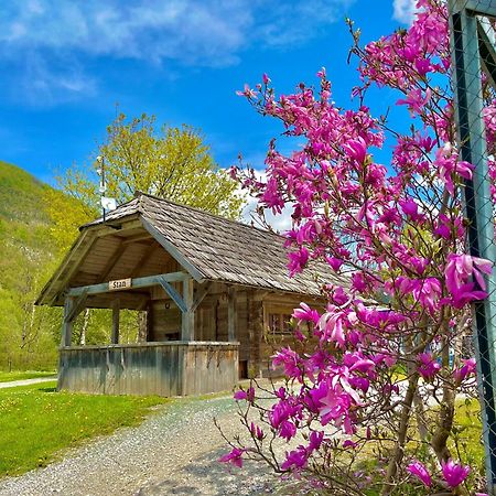 Camping Danica Cottage Stan ボーヒニ エクステリア 写真