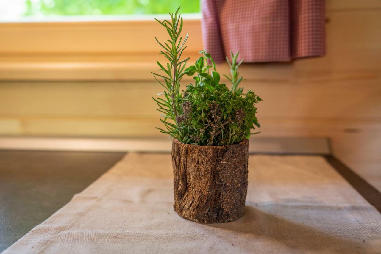 Camping Danica Cottage Stan ボーヒニ エクステリア 写真
